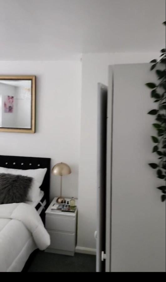 בסילדון Private Luxurious Space מראה חיצוני תמונה